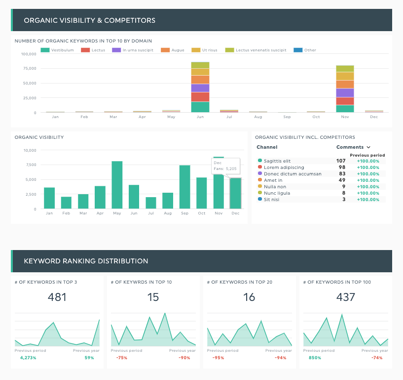 Beispiel für einen Keyword-Ranking-Bericht